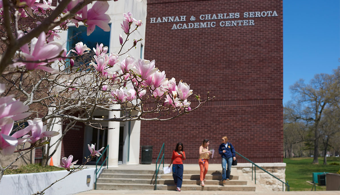 Magnolia tree in bloom by the Hannah and Charles Serota Academic Center.
