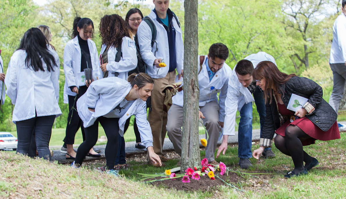 NYITCOM students laying flowers at a maple tree.