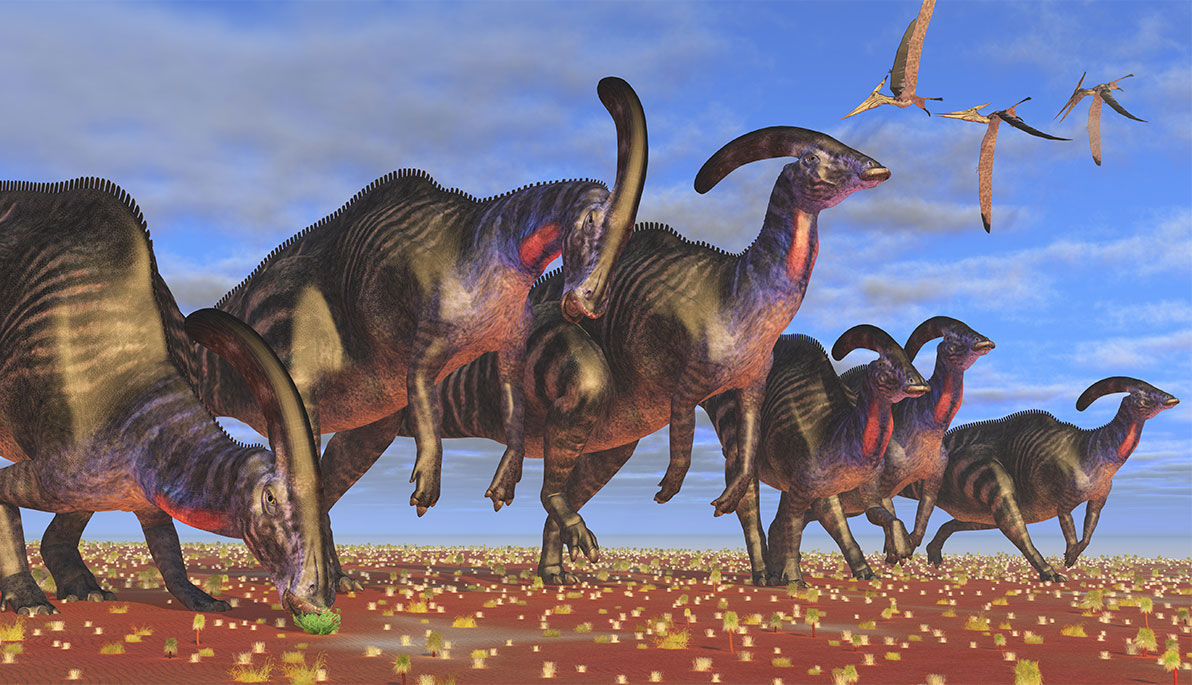 An illustration of duck-billed dinosaur Parasaurolophus