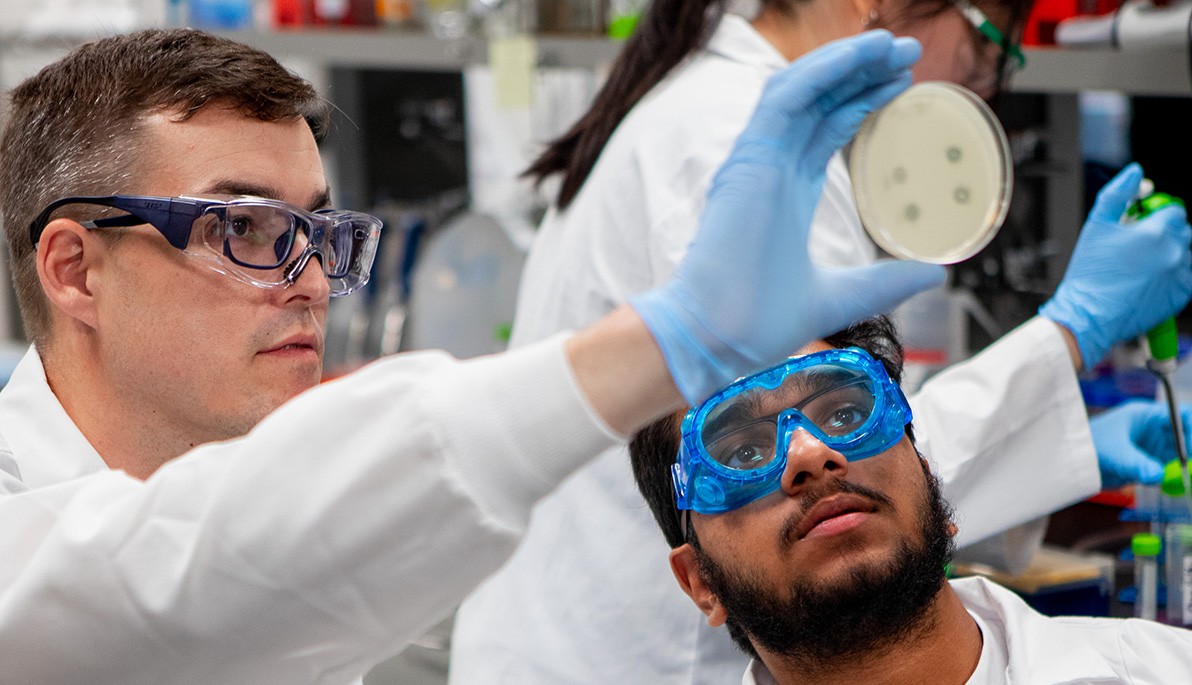 Assistant Professor Bryan Gibb and Hamza Nagarwala looking at a petri dish.