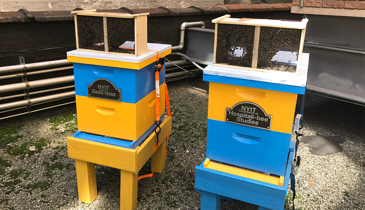 Two beehives on the roof of 1849 Broadway.
