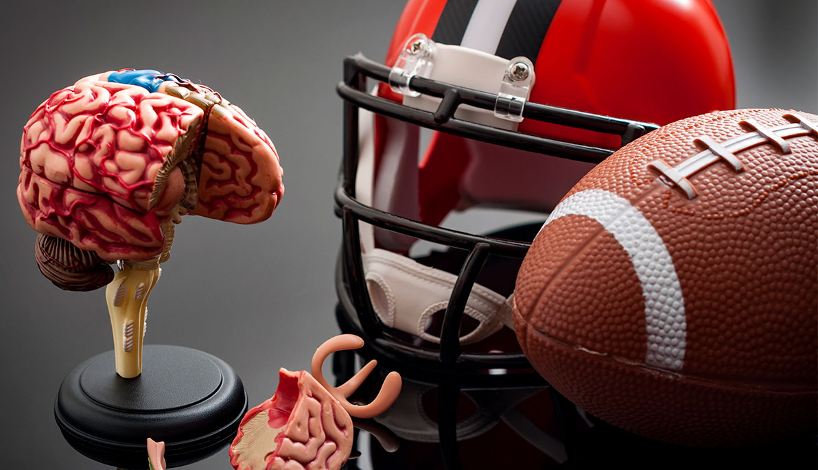 A football, football helmut, and a model of a brain.