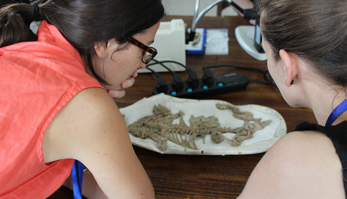 NYIT Assistant Professor Simone Hoffmann looking at a fossil