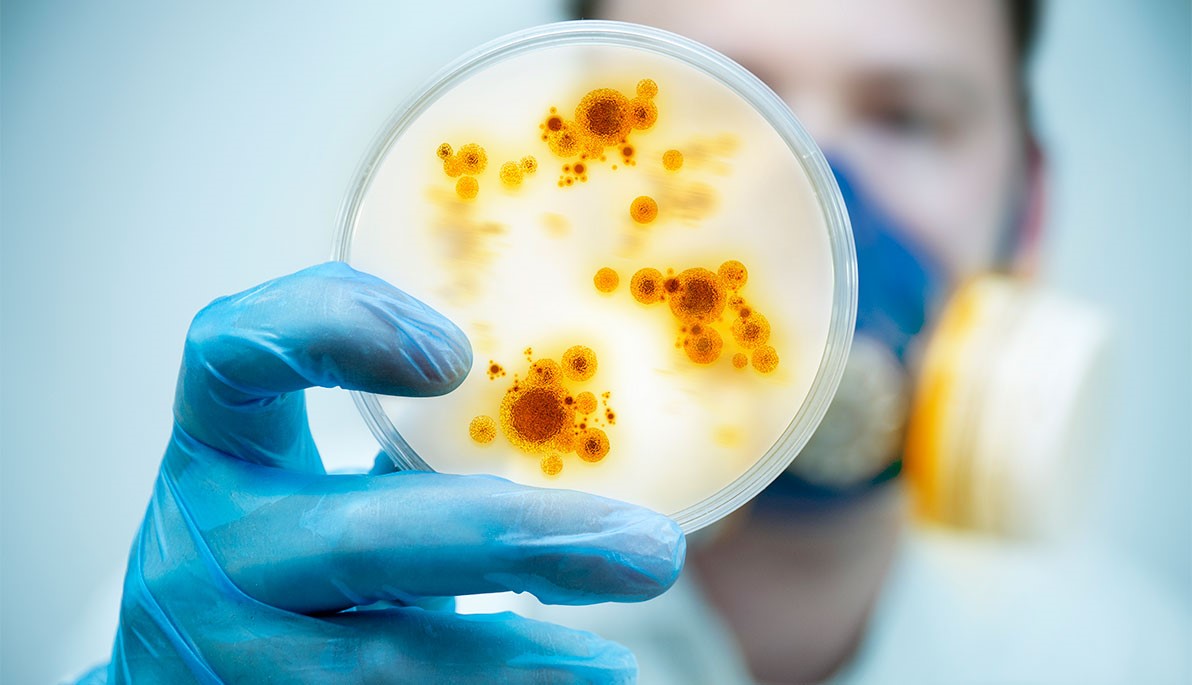 Antibiotic-Resistant Superbugs Are Getting Deadlier, But They Can Be Defeated — with Viruses