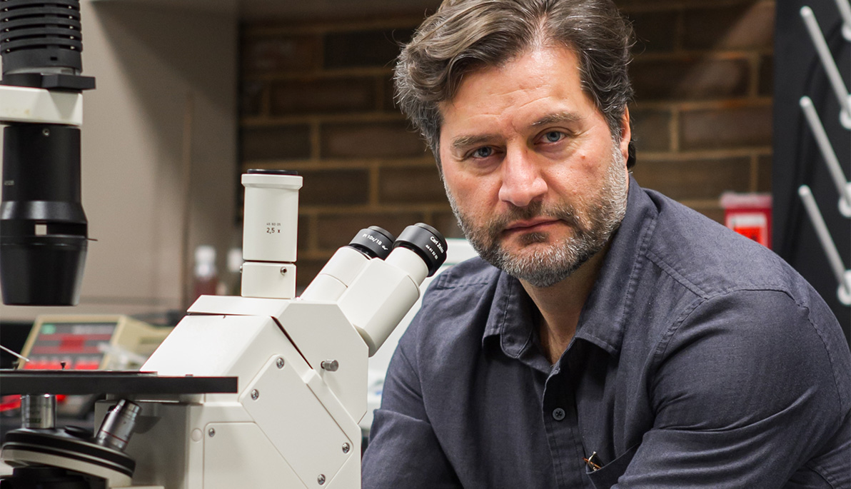 Professor Michael Hadjiargyrou in the lab