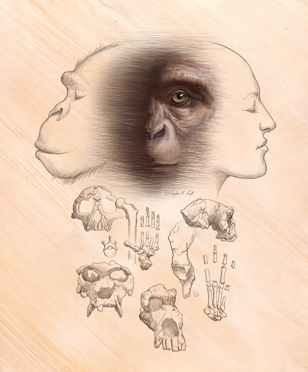 illustration of apes and skulls