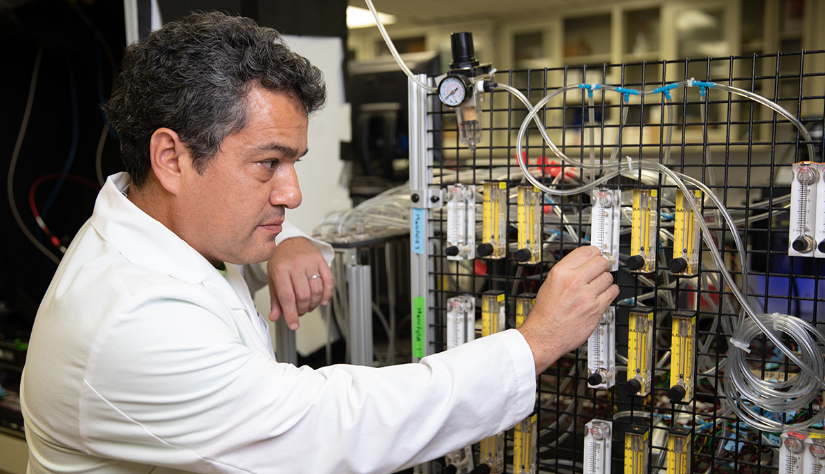 Assistant Professor Gonzalo Otazu looking at scent tubes