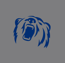 New York Tech Bears icon