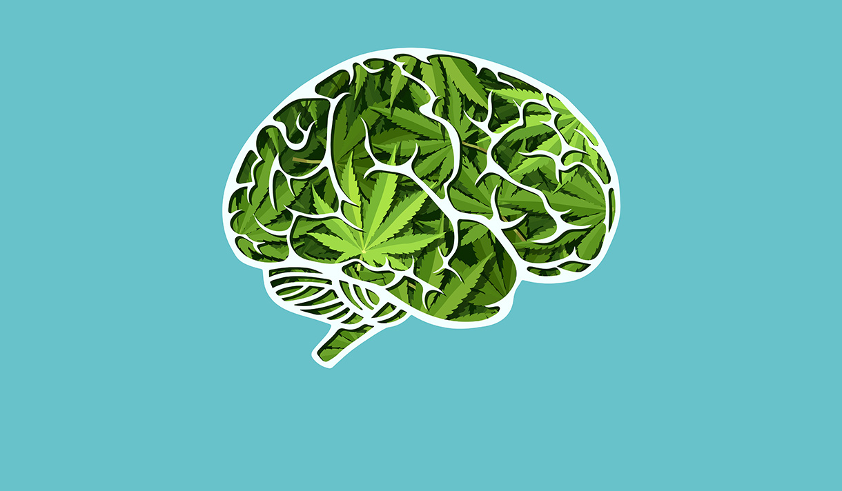 Marijuana: The Science of Addiction & Effects on the Brain