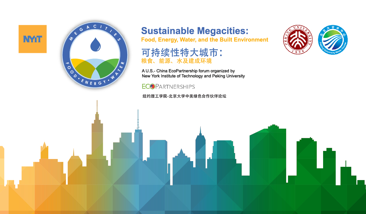 Sustainable Megacities: Food, Energy, Water, and the Built Environment