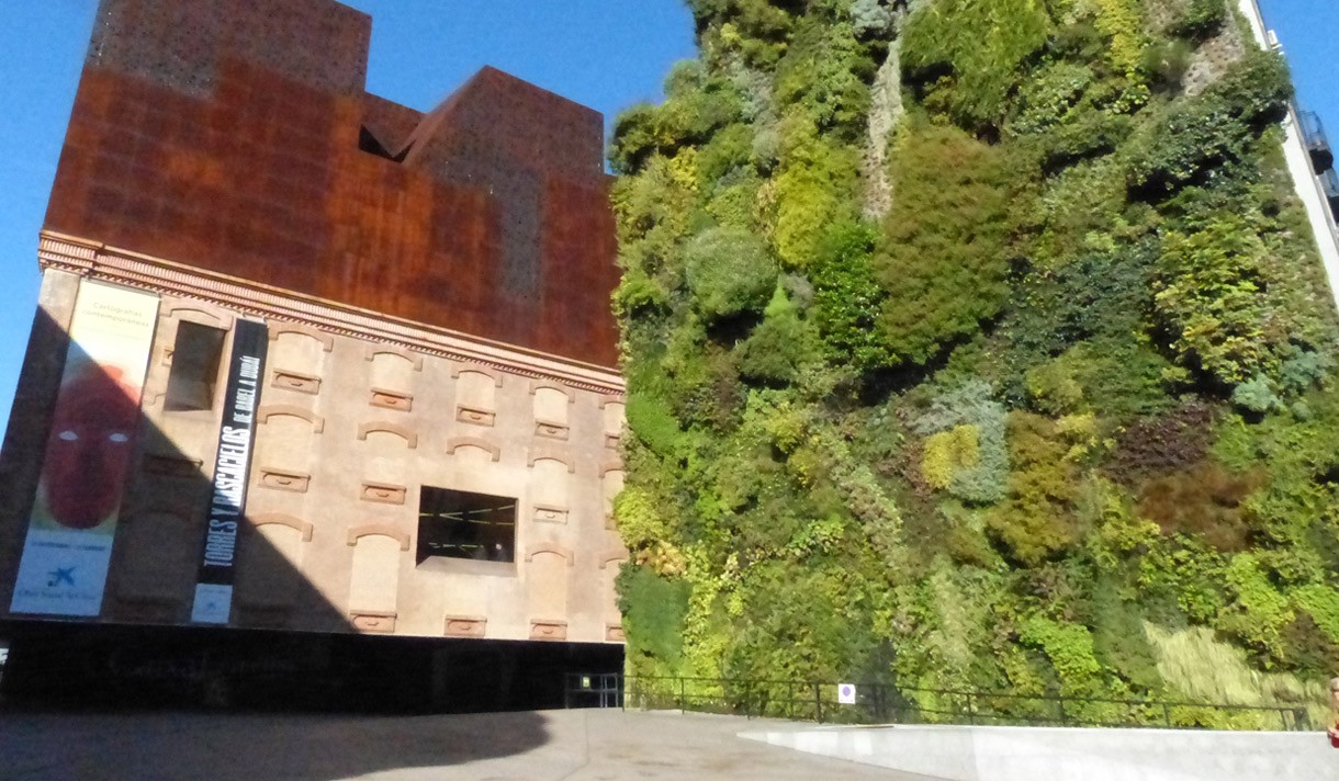 A building and wall covered in green shrubbery and plants