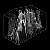  B.Arch 501-502, Informed Interscalar Fluidity, Thesis Studio, Associate Professor Pablo Lorenzo-Eiroa, F2019 and S2020. The thesis studio worked on a full-scale synthetic interactive immersive architecture installation for the 