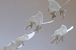 To create the delicate sculptures, Oda used Autodesk’s Maya software and rapid prototyping 3-D printing technology.
