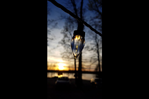 Segment 18 - Show Us What You See: 3rd Place - Sunset through the light bulb, Tenisha Roming, Assistant Director, Clinical Education, Arkansas