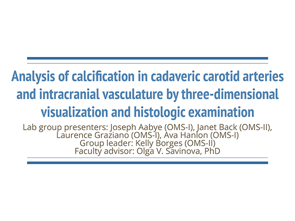 Analysis of calcification in cadaveric carotid arteries and intracranial vasculature by three-dimensional visualization and histologic examination