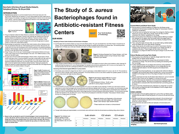 The Study of S. aureus Bacteriophages found in Antibiotic-resistant Fitness Centers