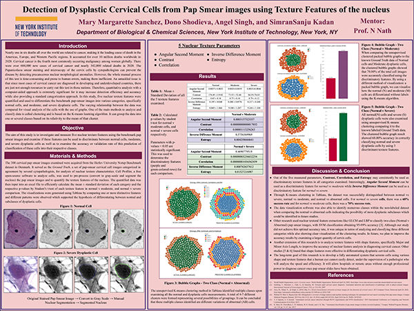 Detection of Dysplastic Cervical Cells from Pap Smear images using Texture Features of the Nucleus