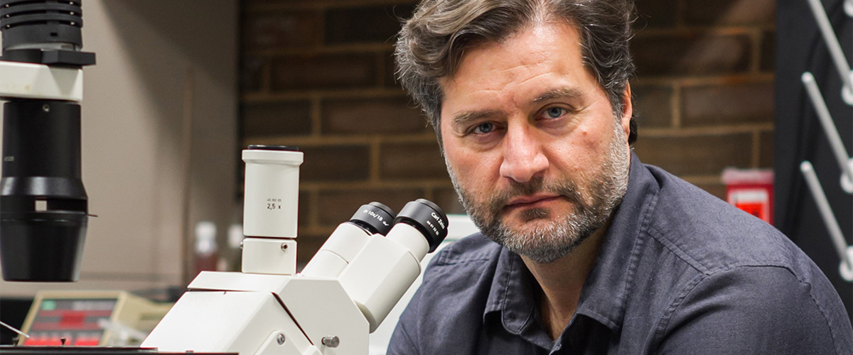 Professor Michael Hadjiargyrou in the lab
