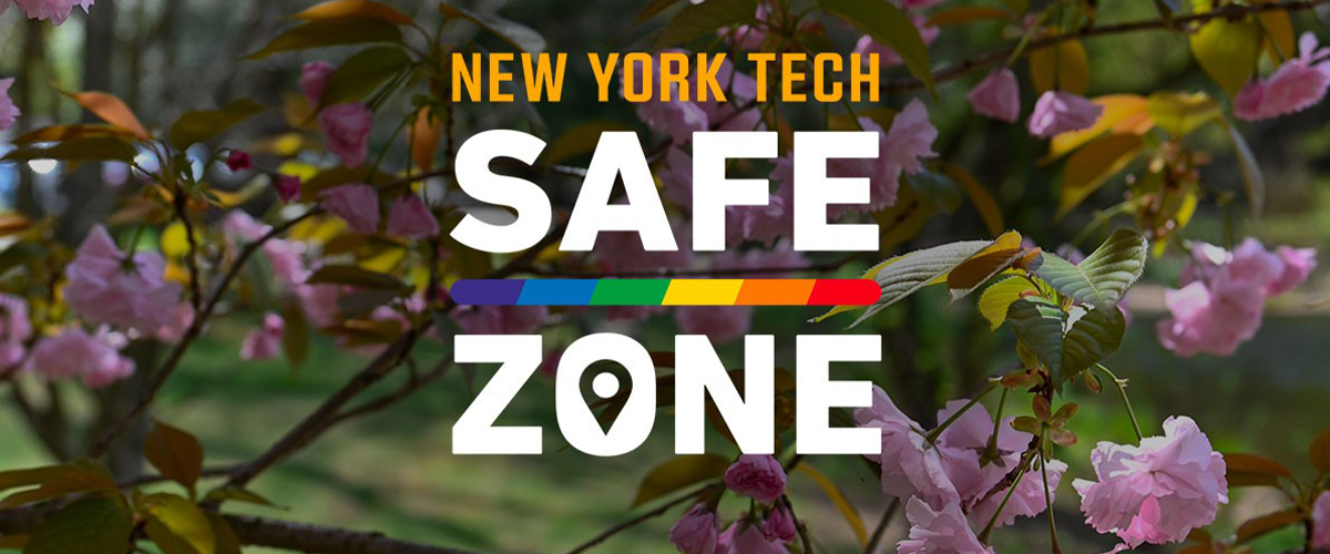 Safe Zone Project logo