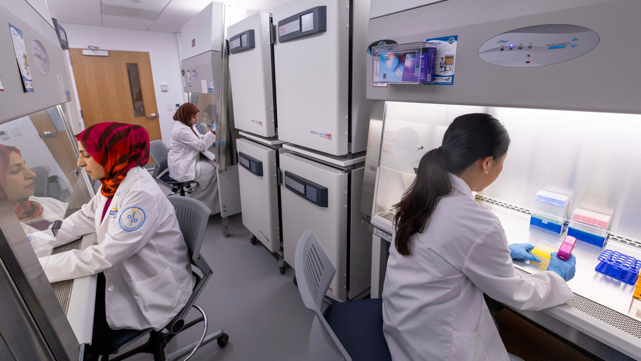Scientist work in the Biomedical, Research, Innovation, and Imaging Center (BRIIC).