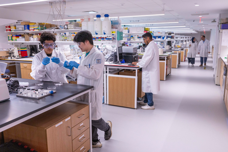 The BRIIC includes 48 lab benches designed with flexible infrastructure.