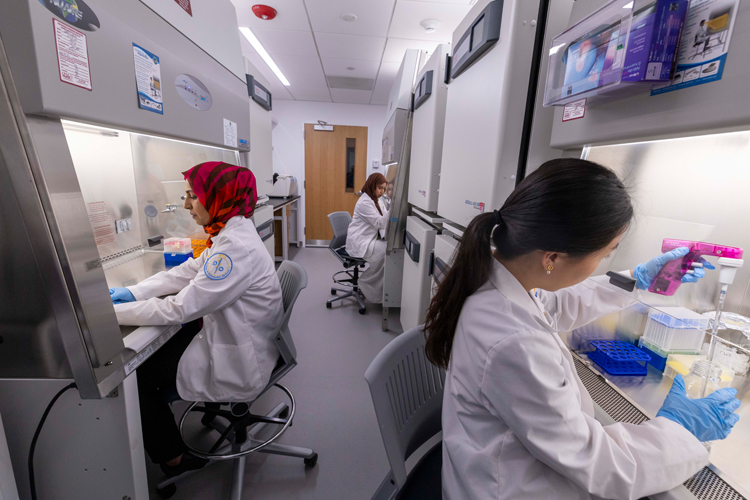 Researchers in one of the cell culture rooms.
