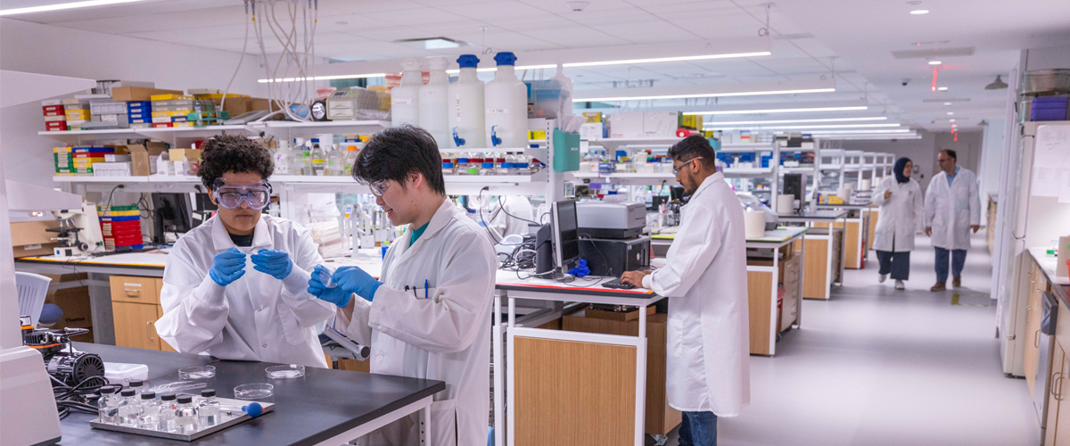 Scientist work in the Biomedical, Research, Innovation, and Imaging Center (BRIIC).
