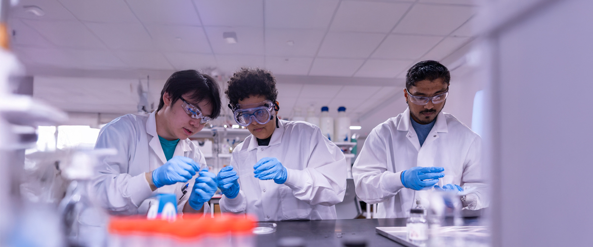 Three researchers are working on biomedical projects using beakers and blue gloves.
