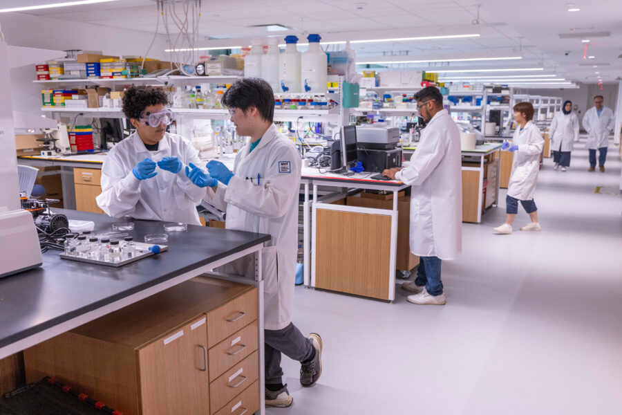 Researchers working in a lab