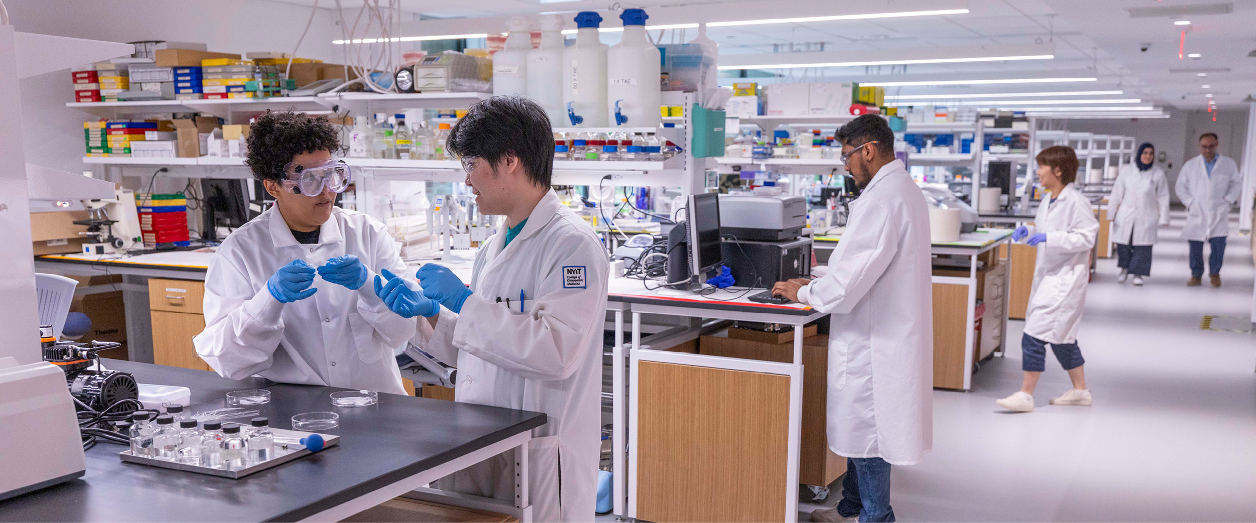 Researchers working in a lab