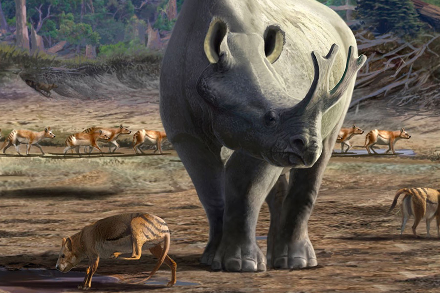A bronothere and other animals wandering behind it