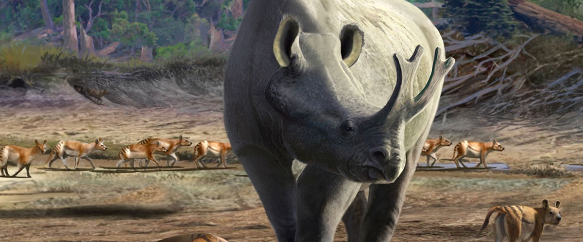 A bronothere and other animals wandering behind it