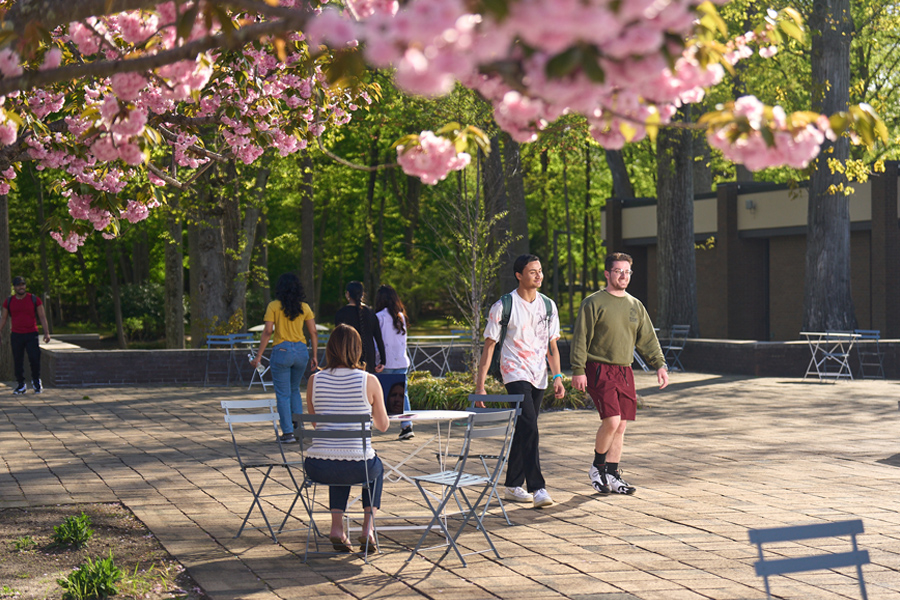 Students are relaxing outside and walking to class.