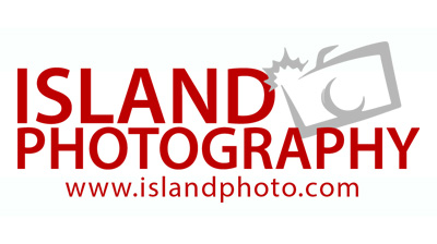 Island Photo logo