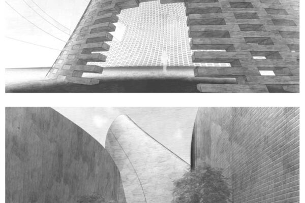 Student: Muhammad Riaz Faculty: Diane Neff Semester: Spring 2020