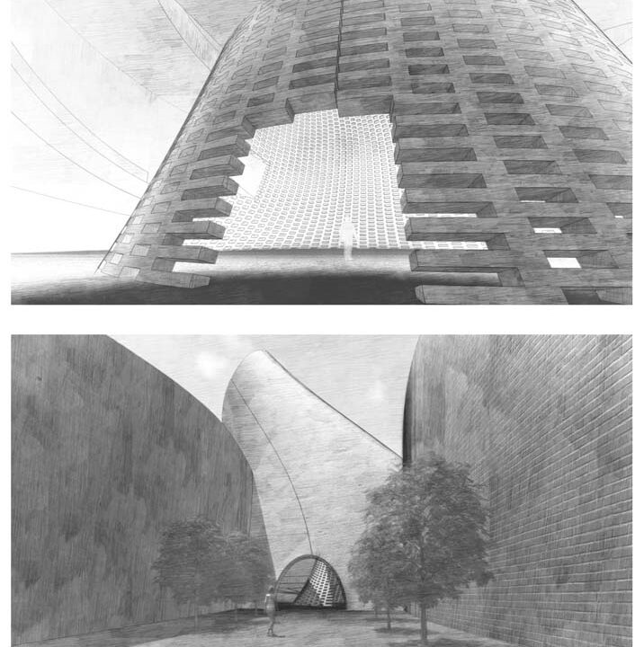 Student: Muhammad Riaz Faculty: Diane Neff Semester: Spring 2020