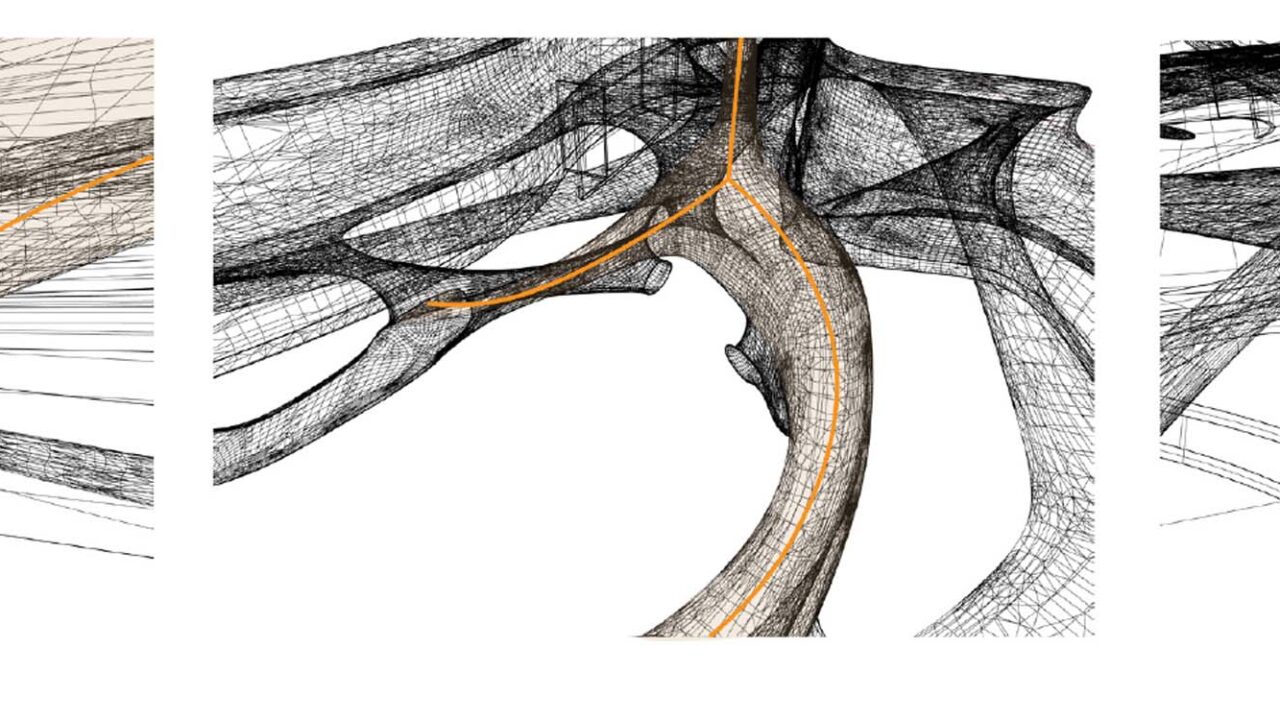 Student: Jenny Yu Faculty: Efrat Nizan Semester: Spring 2020