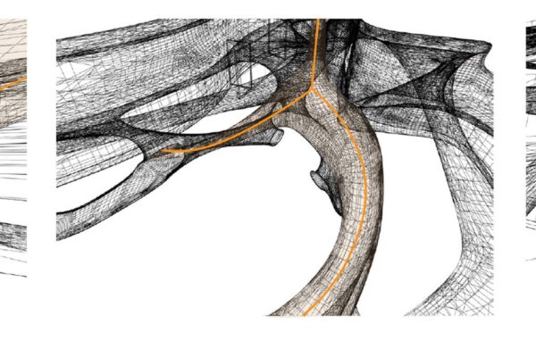 Student: Jenny Yu Faculty: Efrat Nizan Semester: Spring 2020