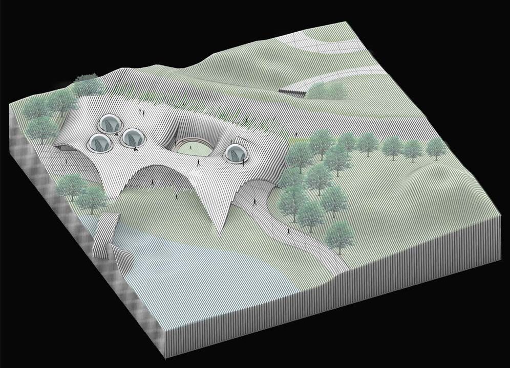 Student: Erika Zhinin Faculty: Efrat Nizan Semester: Spring 2020