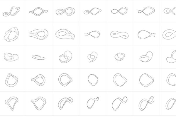 Student: Emily O'Connell Faculty: Gertrudis Brens Semester: Spring 2020