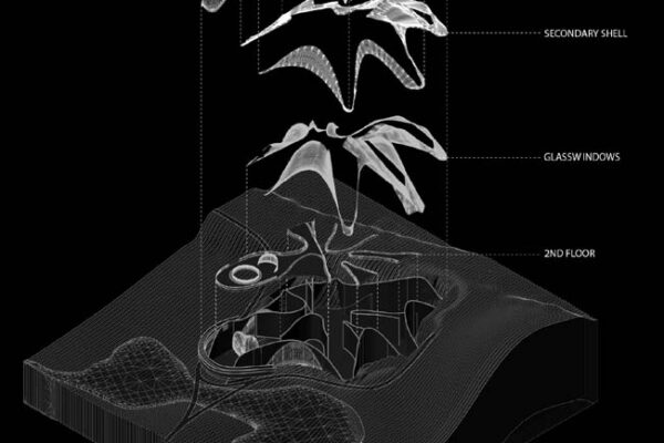 Student: Judah Cohen Faculty: Efrat Nizan Semester: Spring 2020