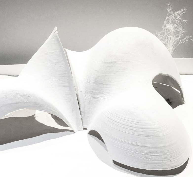 Student: Maria Lazaridis Faculty: Shantanu Bhalla Semester: Spring 2019