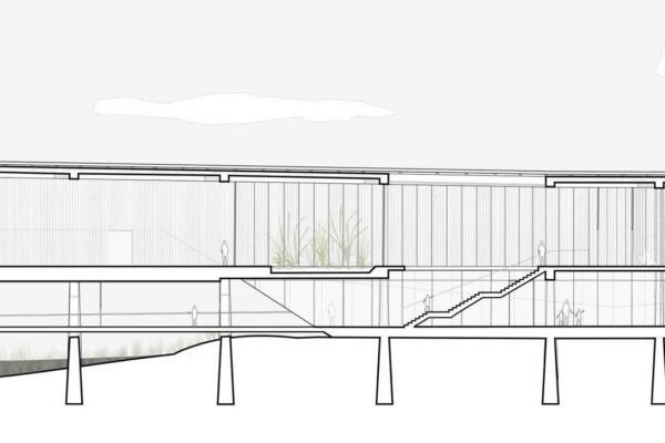 Student: Jacqueline Pileggi Faculty: Robert Cody Semester: Fall 2019