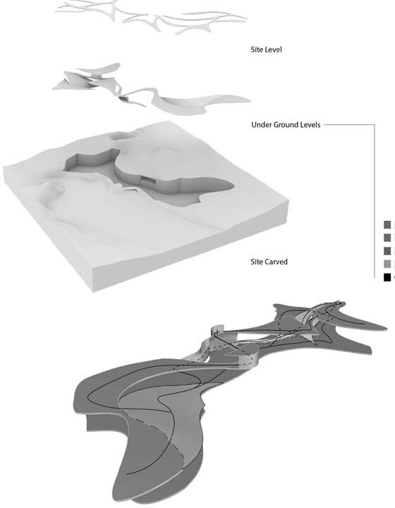 Student: Jenny Yu Faculty: Efrat Nizan Semester: Spring 2020