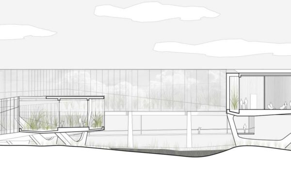 Student: Jacqueline Pileggi Faculty: Robert Cody Semester: Fall 2019