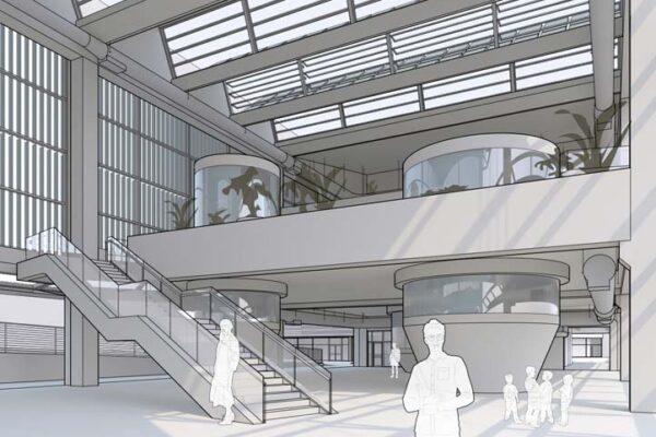 Student: John Nils Schaefer III Faculty: Robert Cody Semester: Fall 2019