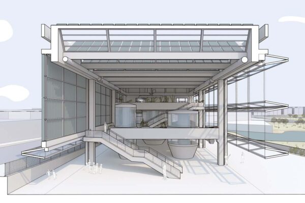 Student: John Nils Schaefer III Faculty: Robert Cody Semester: Fall 2019