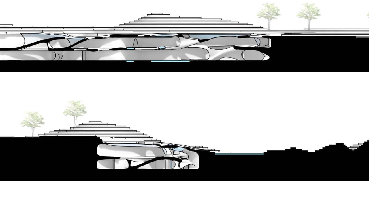 Student: Jenny Yu Faculty: Efrat Nizan Semester: Spring 2020