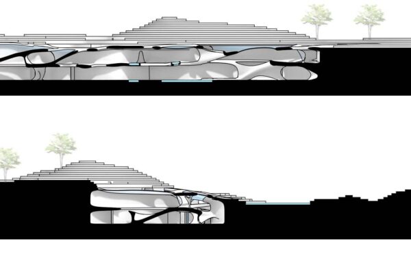 Student: Jenny Yu Faculty: Efrat Nizan Semester: Spring 2020