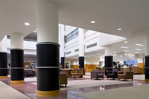 Albert R Mann Library. Cornell University, Ithaca, NY. Photo by Seong Kwan.